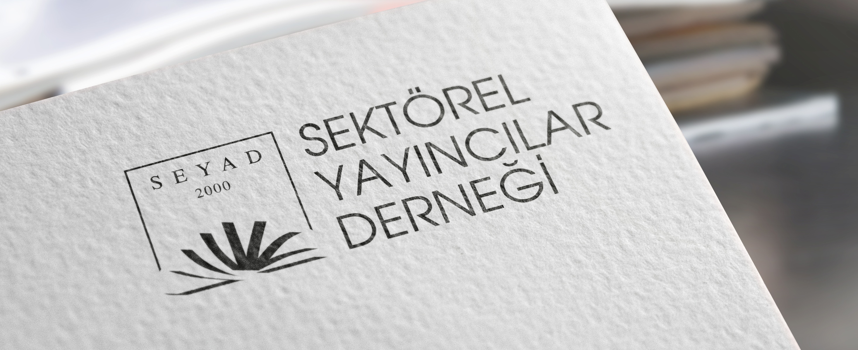 Resim Başlığı