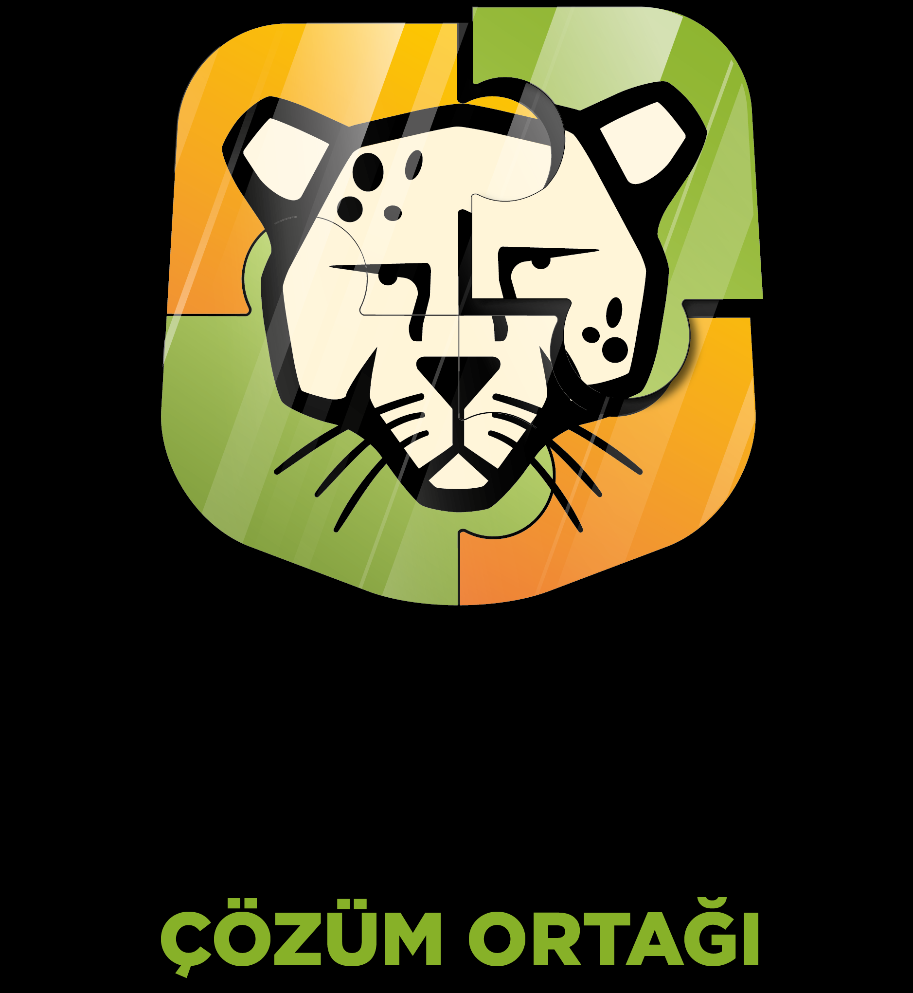 Resim Başlığı