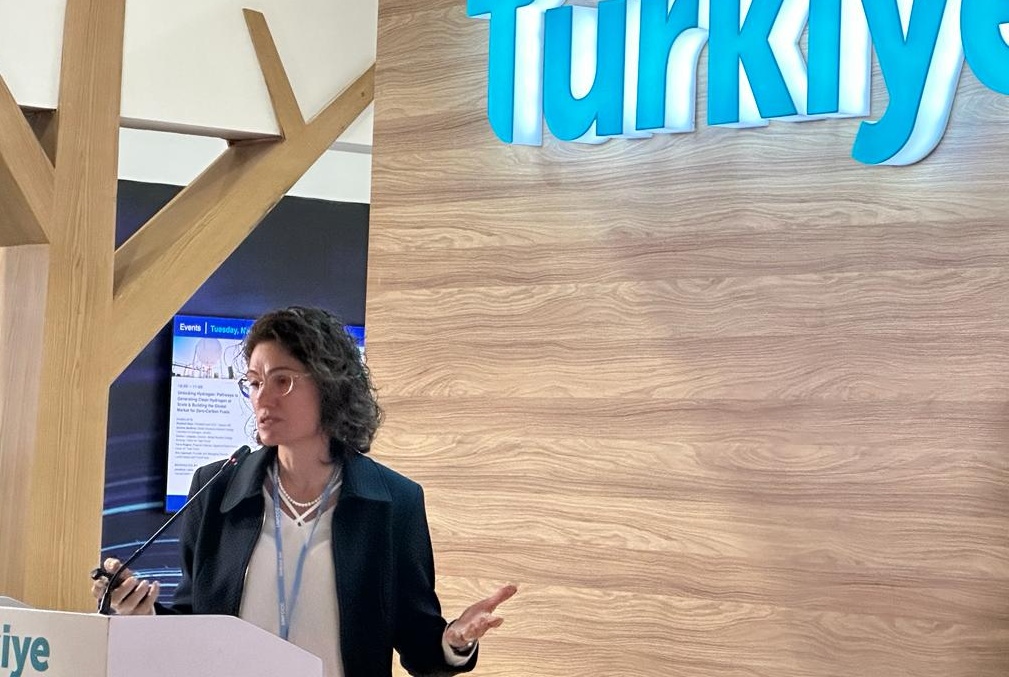 Resim Başlığı