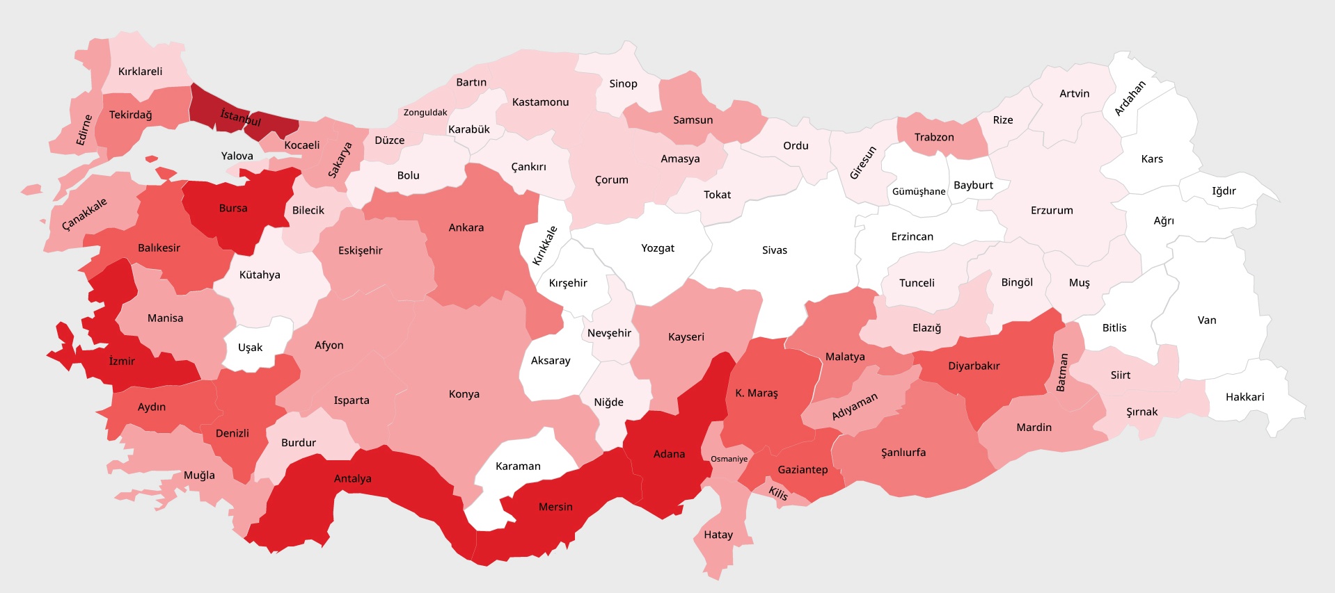 Resim Başlığı