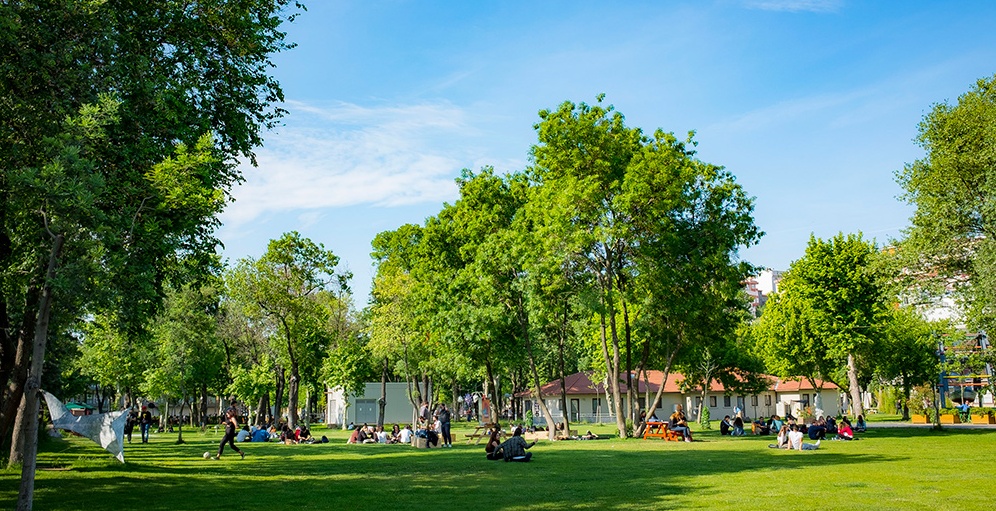 Resim Başlığı