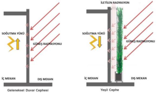 Resim Başlığı