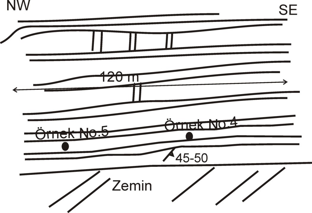 Resim Başlığı