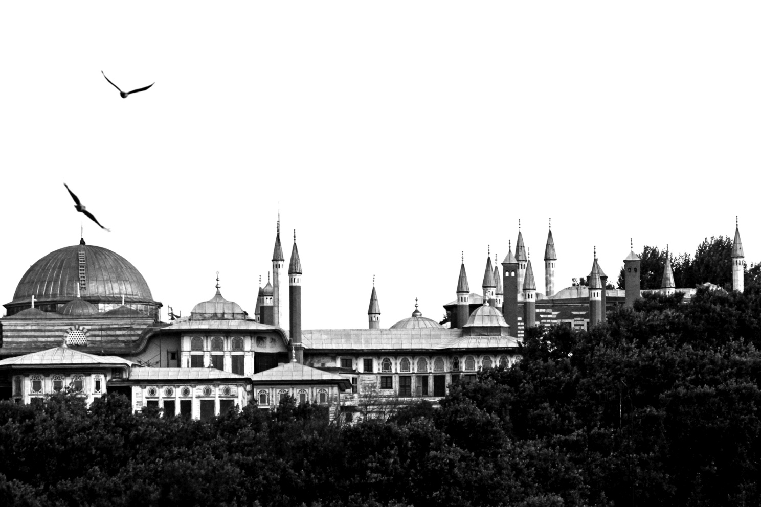 Resim Başlığı