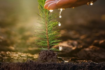 İzocam, 60. Yıl Hatıra Ormanı’nı Oluşturuyor