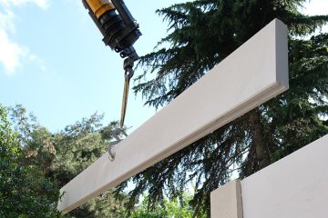 Gürültü Yaşam Ömrünü Kısaltıyor