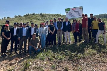 DYO, 70. Yılına Özel “Hatıra Ormanı” Kuruyor