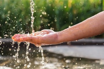 Xylem İki Markasının Faaliyet Alanını Yeniden Yapılandırdı