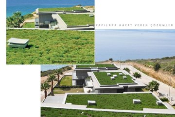 BTM Yeşil Çatı Sistemleri ile Şehirlerde Doğaya Yer Açıyor