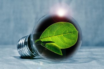 Yeni Reforma Paketi Ekonomide Yeşil Dönüşüme İşaret Ediyor
